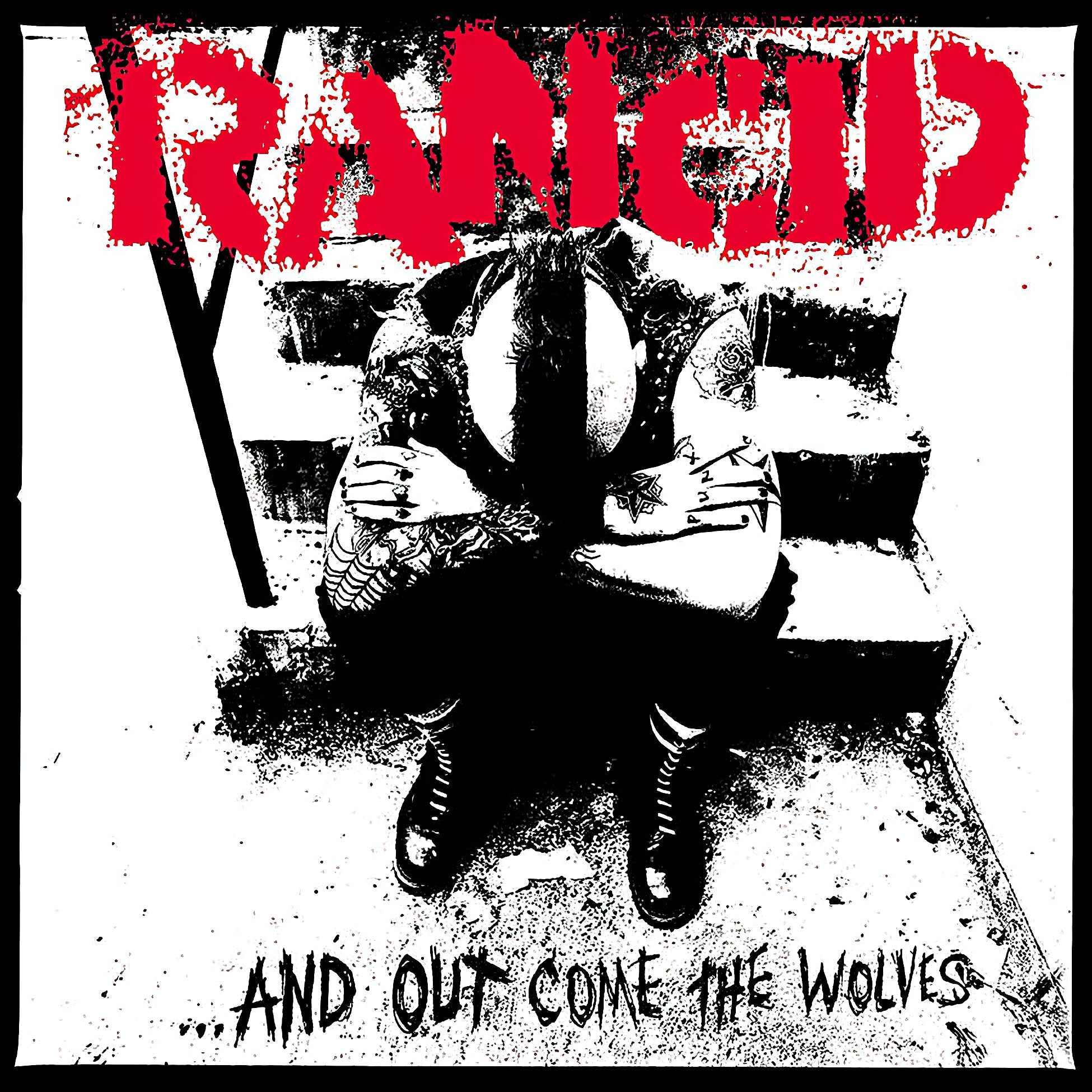Shop punk rock on vinyl, banner with a slice of Rancid's And Out Come The Wolves album – ToucanRecords.com
