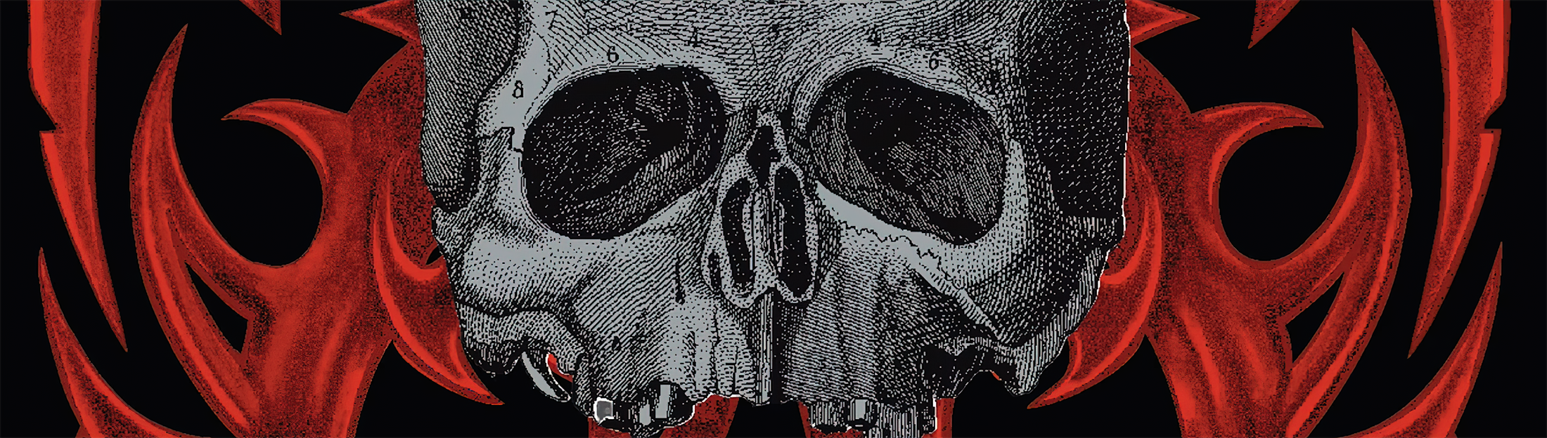 Black Label Society Vinyl Records Collection skull banner