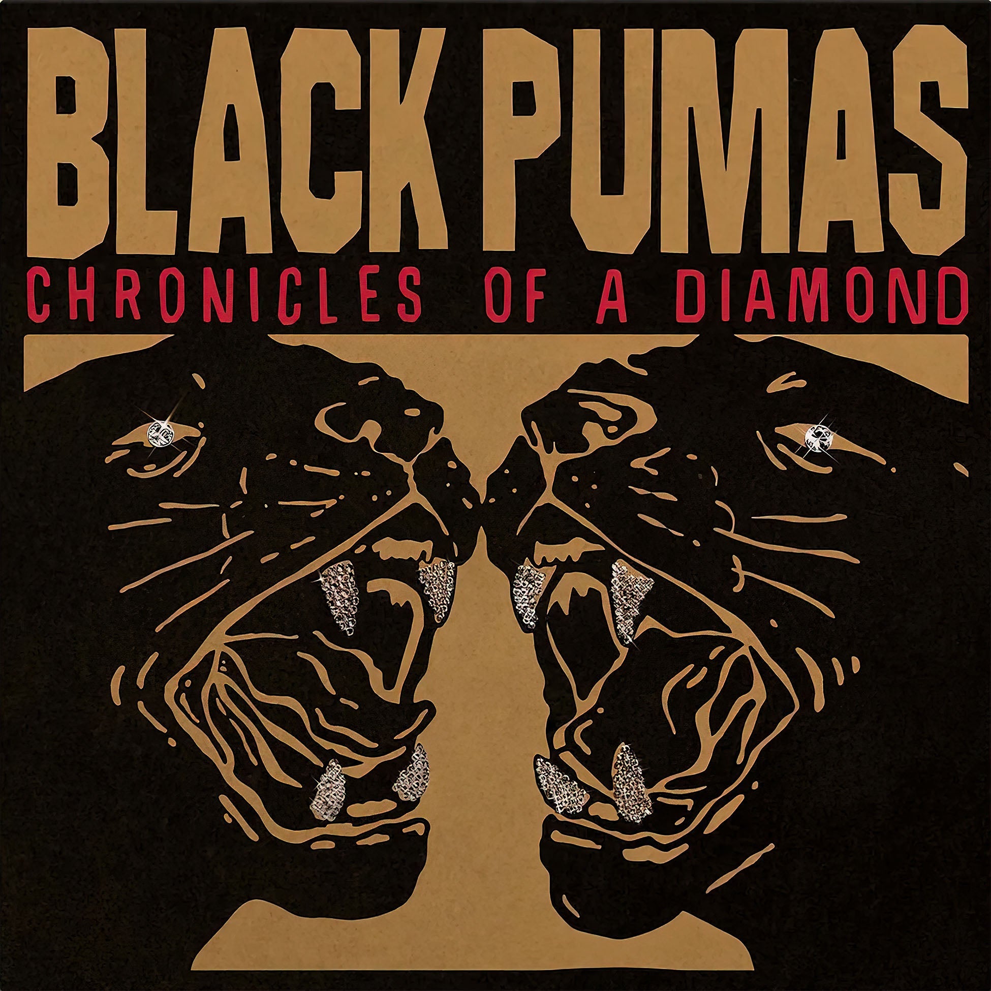 Black Pumas vinyl records collection banner – ToucanRecords.com