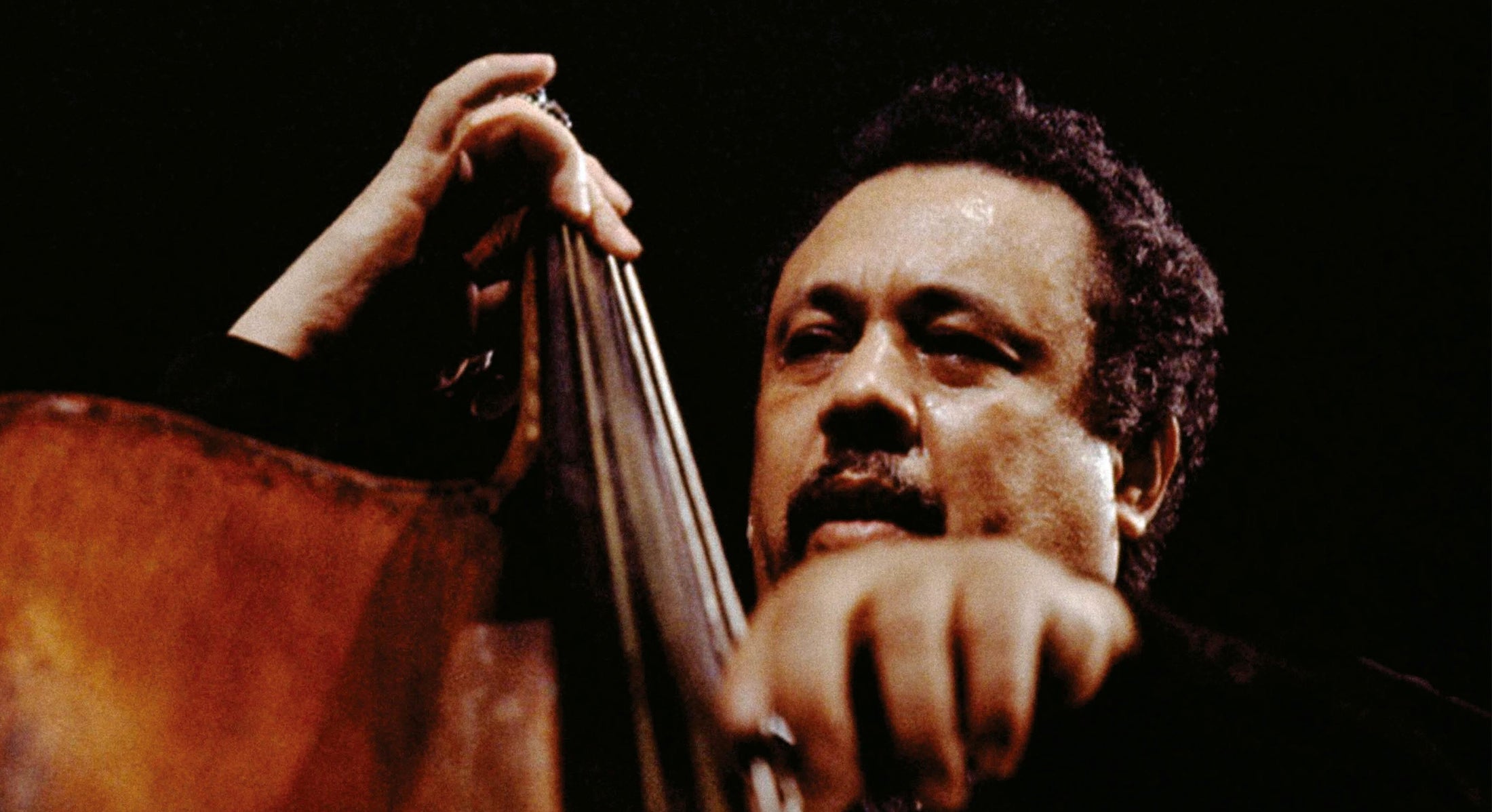 Charles Mingus vinyl records collection banner – ToucanRecords.com