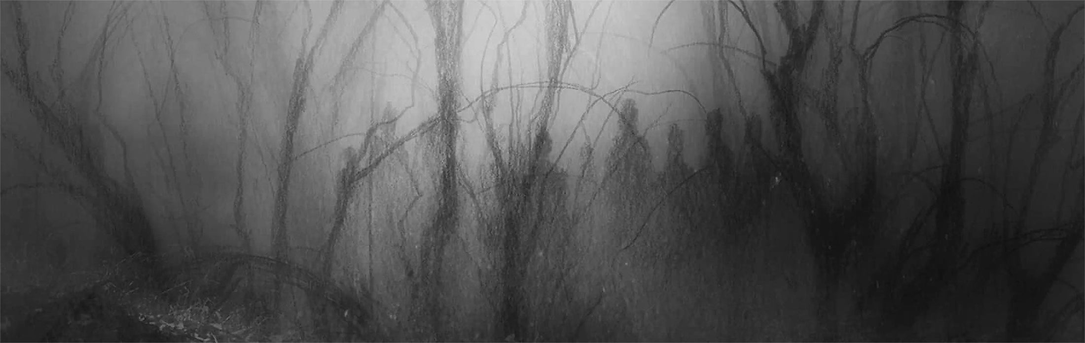 Opeth - Blackwater Park album cover for the Vinyl Records Collection on Toucan Records