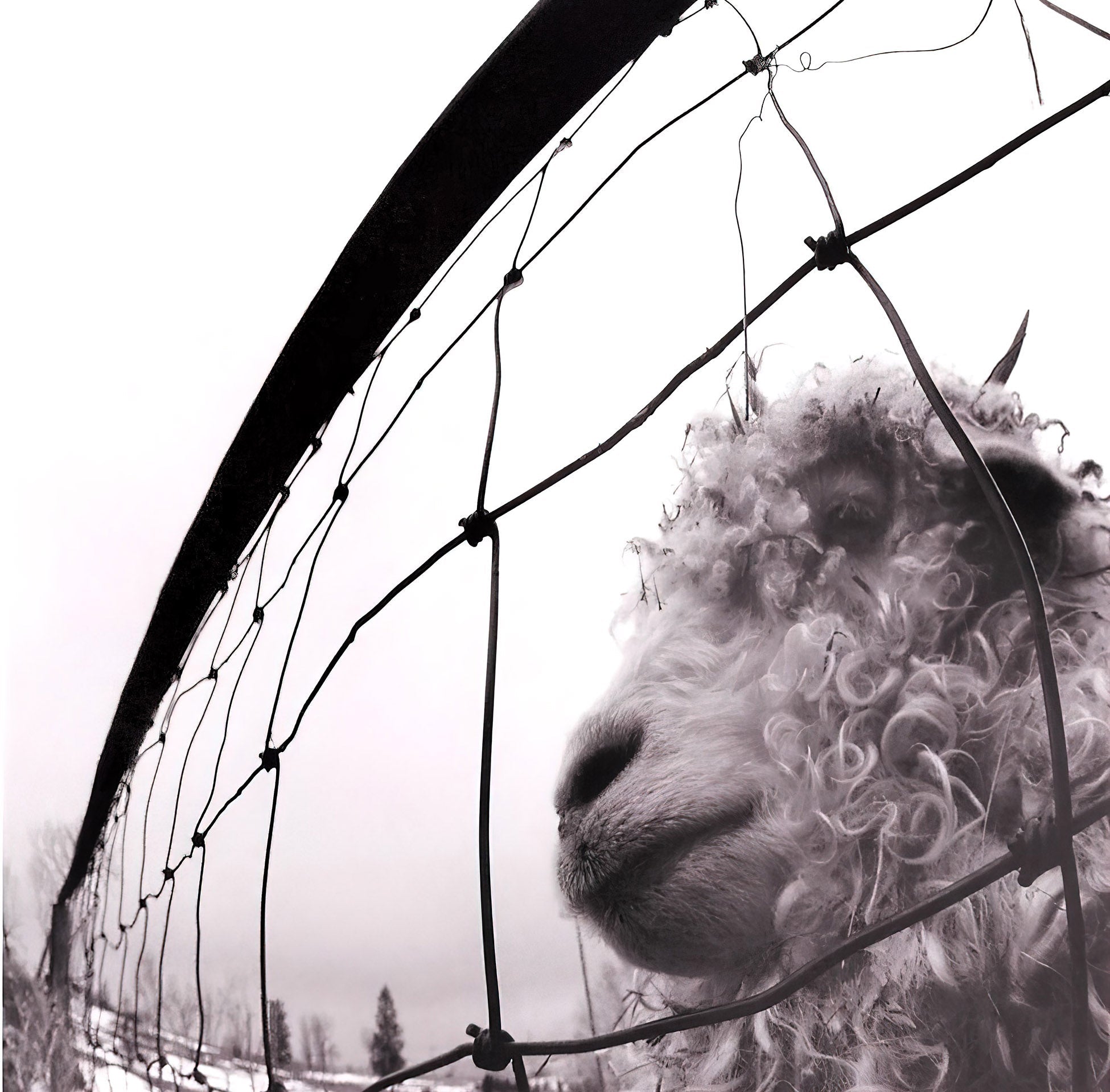 Pearl Jam vinyl records collection banner – ToucanRecords.com