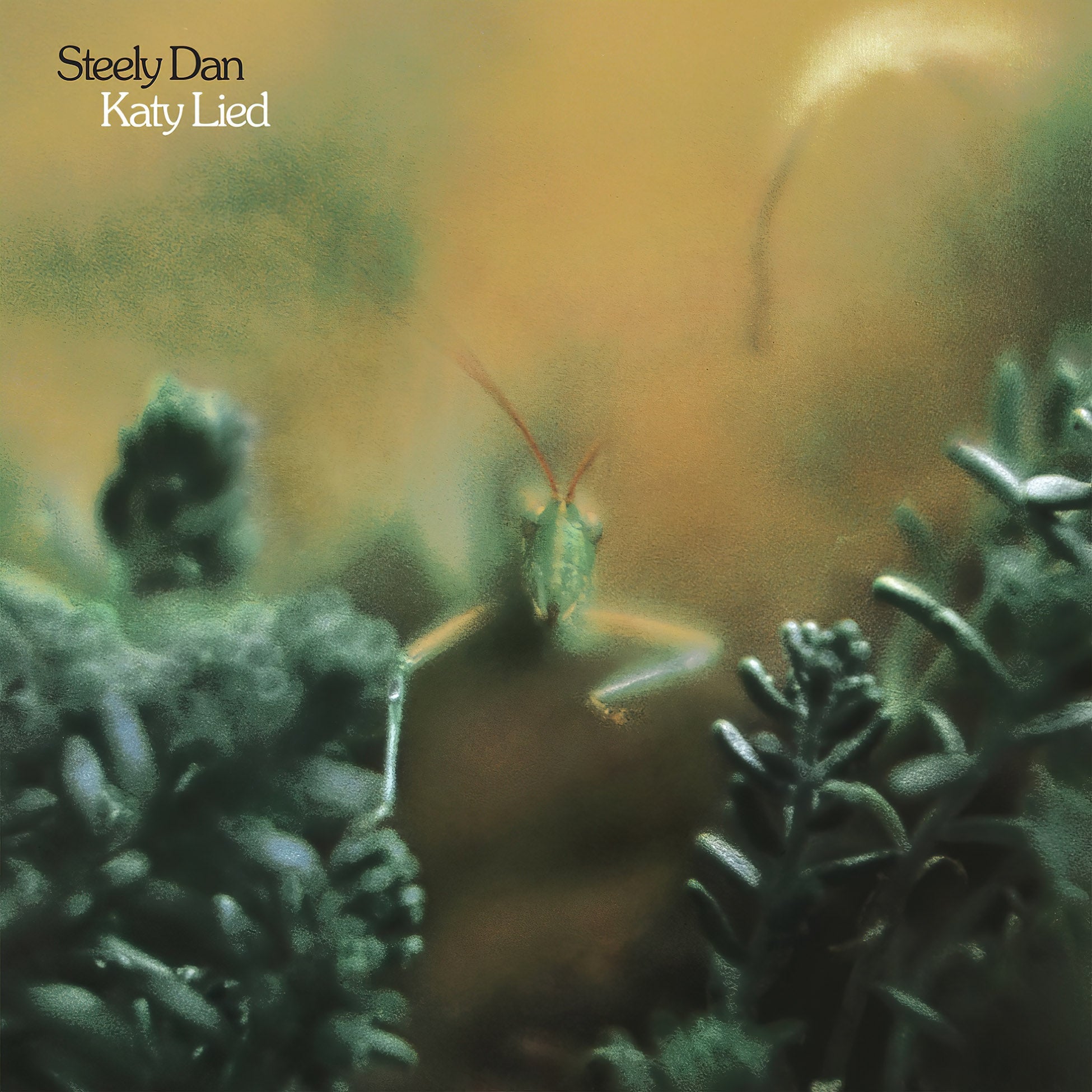 Steely Dan vinyl records collection banner – ToucanRecords.com