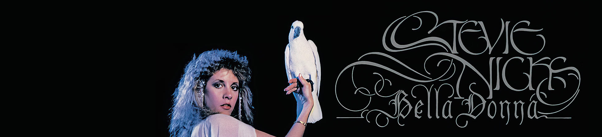 Stevie Nicks vinyl records collection banner – ToucanRecords.com