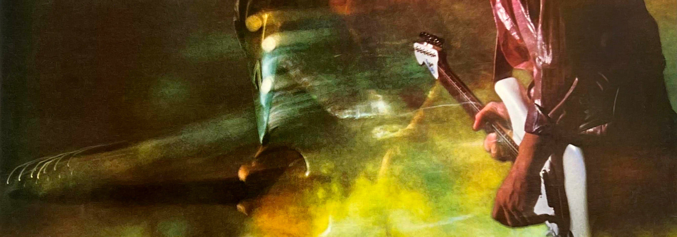 Stevie Ray Vaughan vinyl records collection banner – ToucanRecords.com