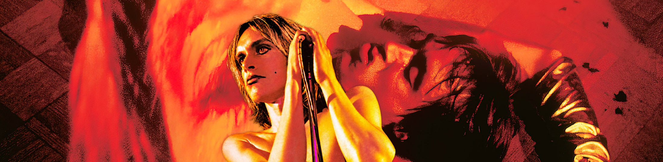 The Stooges collection banner featuring Iggy Pop, highlighting the band's proto-punk, garage rock and hard rock catalog at ToucanRecords.com.