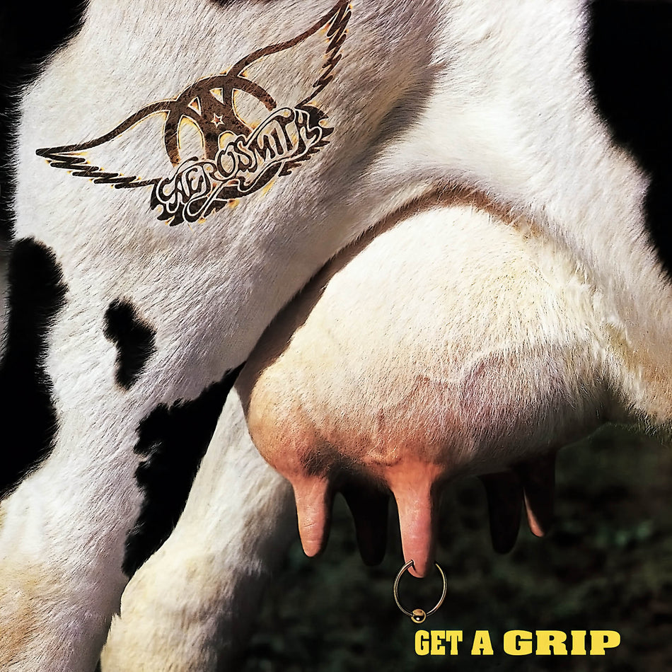 Aerosmith - Get A Grip album cover, 180g black vinyl 2LP reissue, gatefold packaging from ToucanRecords.com