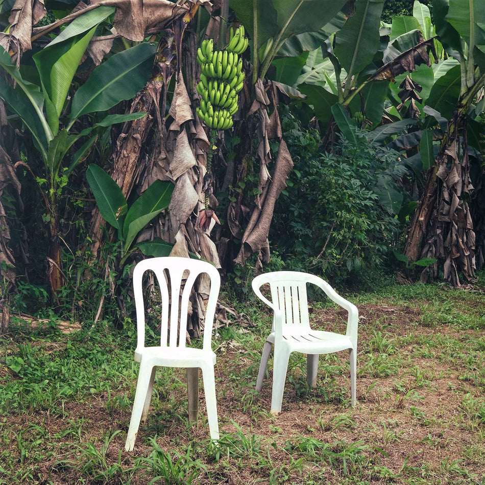Bad Bunny - Debi Tirar Mas Fotos album cover, opaque white vinyl 2LP gatefold edition with exclusive artwork