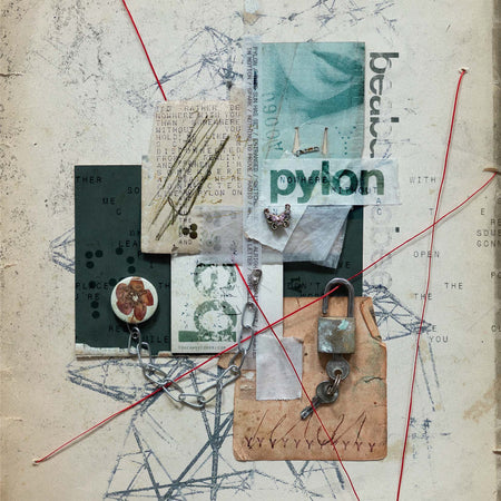 Beabadoobee Pylon album cover for the indie exclusive limited edition oyster colored vinyl LP with foldout poster. Available at TouanRecords.com