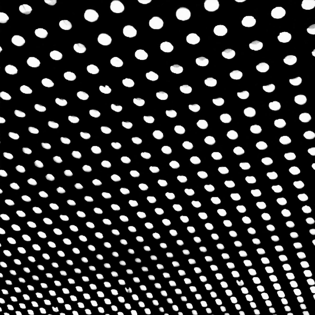 Beach House Bloom album cover art for the 2LP black vinyl edition available online at ToucanRecords.com