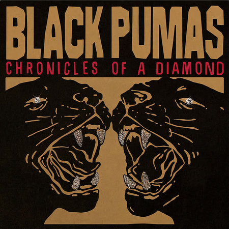 Black Pumas, Chronicles Of A Diamond, Clear Vinyl, cover, album, vinyl