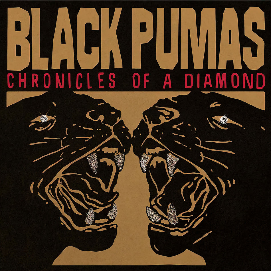 Black Pumas, Chronicles Of A Diamond, Clear Vinyl, cover, album, vinyl