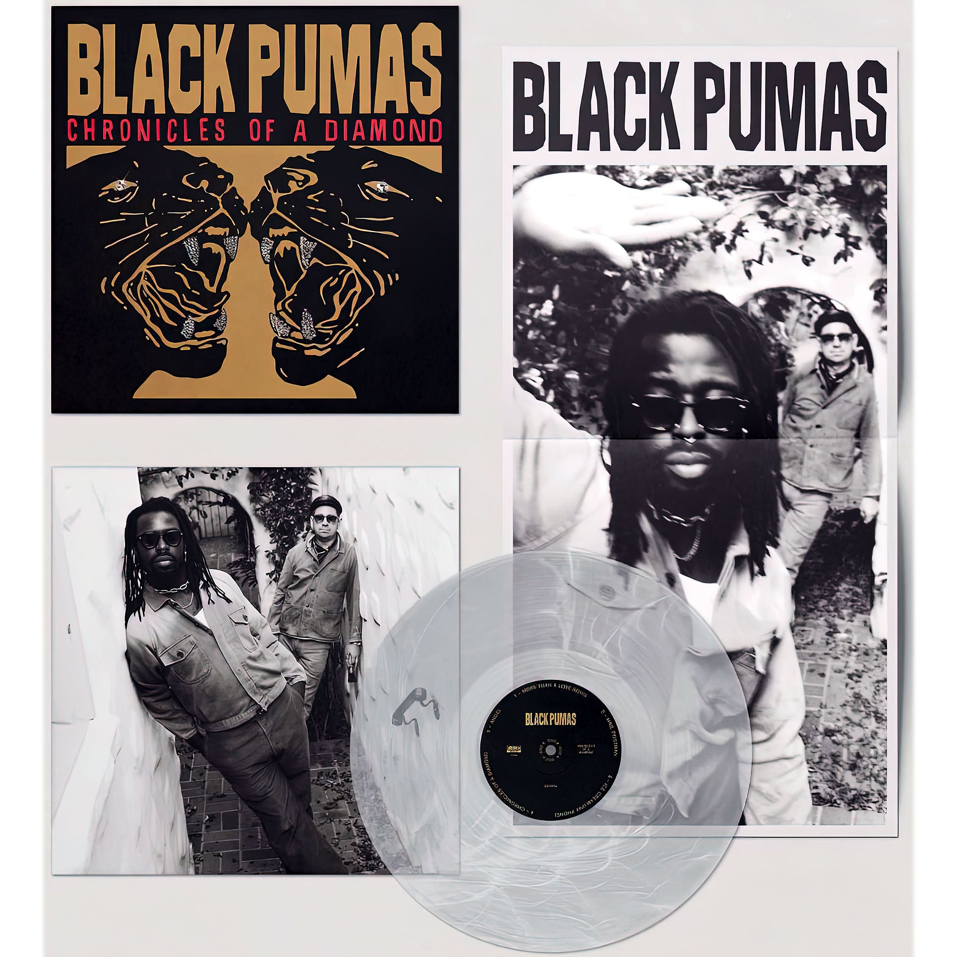 Black Pumas, Chronicles Of A Diamond, Clear Vinyl, cover, album, vinyl, packshot, poster