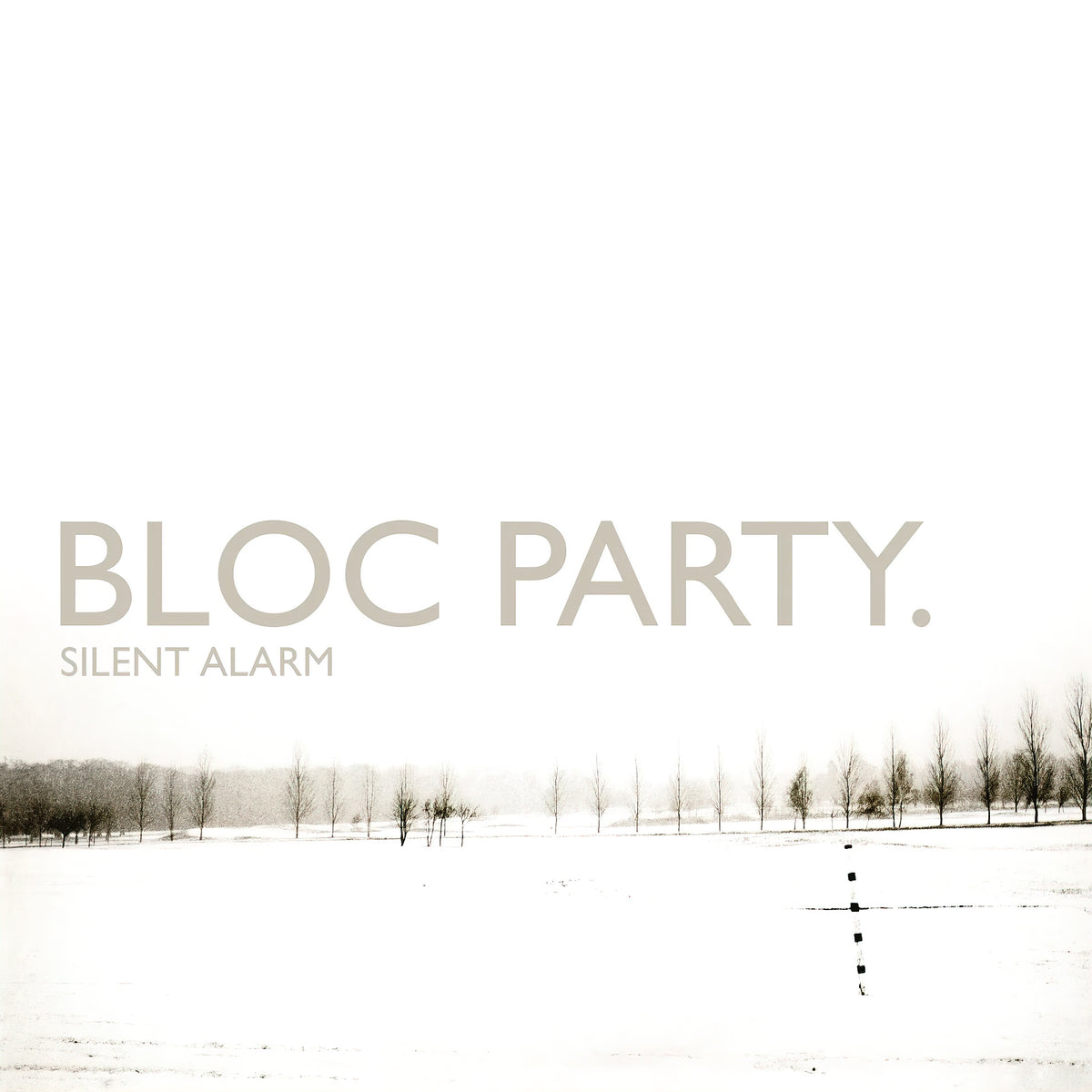 Bloc Party - Silent Alarm album cover, white vinyl 2LP edition, 20th anniversary pressing - Indie rock vinyl at ToucanRecords.com
