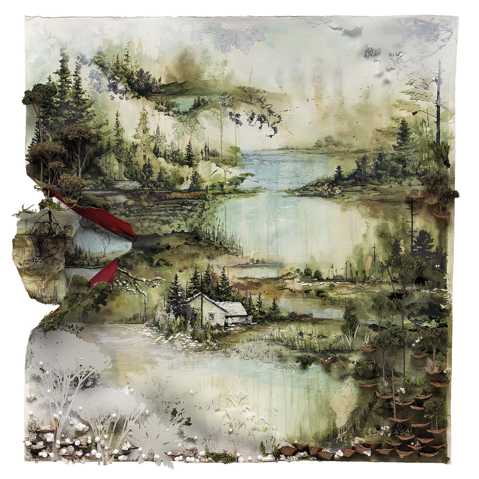 Bon Iver, Bon Iver Bon Iver, Black Vinyl, cover, album, album art, vinyl