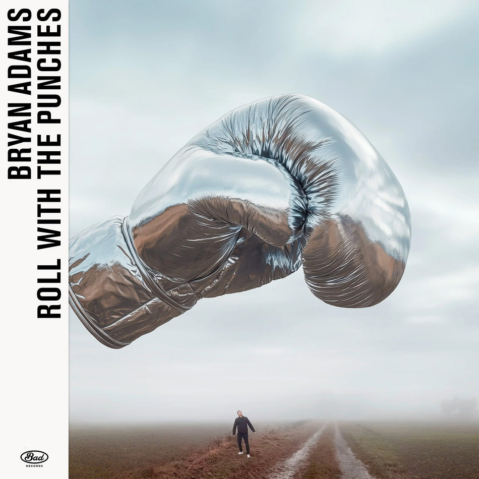 Bryan Adams Roll With The Punches album cover, black vinyl LP import, rock / pop rock music