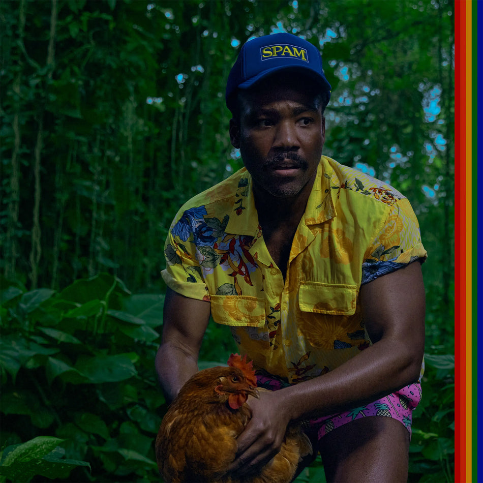 childish gambino, Bando Stone And The New World, album cover, album art, cover art, cover, vinyl, chicken, spam hat, spam cap,