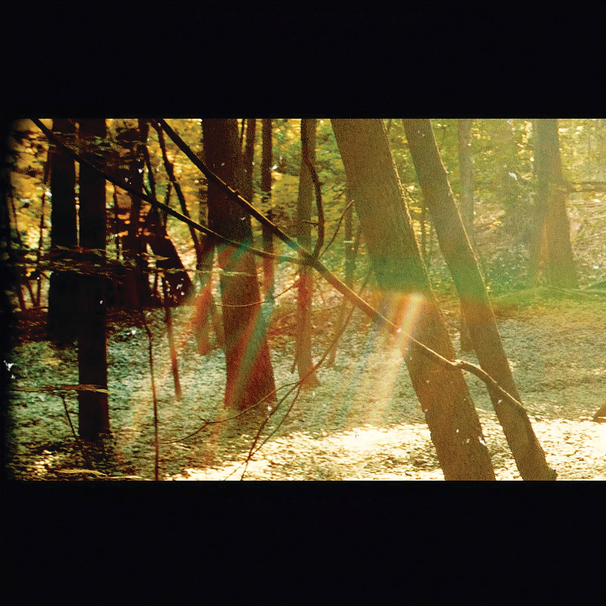 Childish Gambino - Camp album cover, 2LP 180g black vinyl edition, gatefold jacket