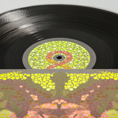 Dangerdoom, Mouse & The Mask, 2 LP, mf doom, doom, cover, album, vinyl, lable, label