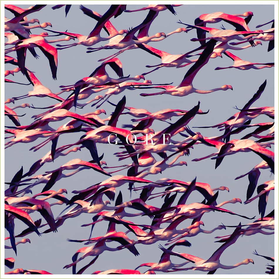 Deftones - Gore album cover, white vinyl 2LP limited edition gatefold with lyrics insert, flamingo, birds