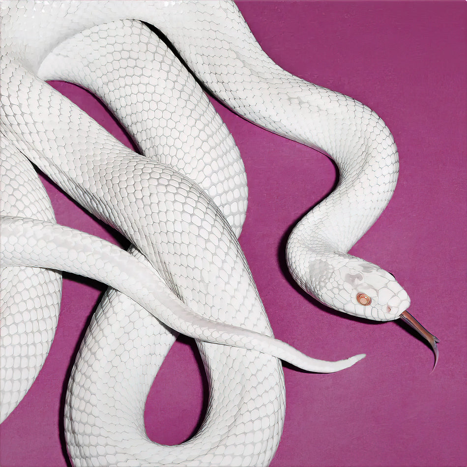 Deftones Private Music album cover, limited edition indie exclusive release, alternative metal 2025, alternate cover, pink background with a white albino snake