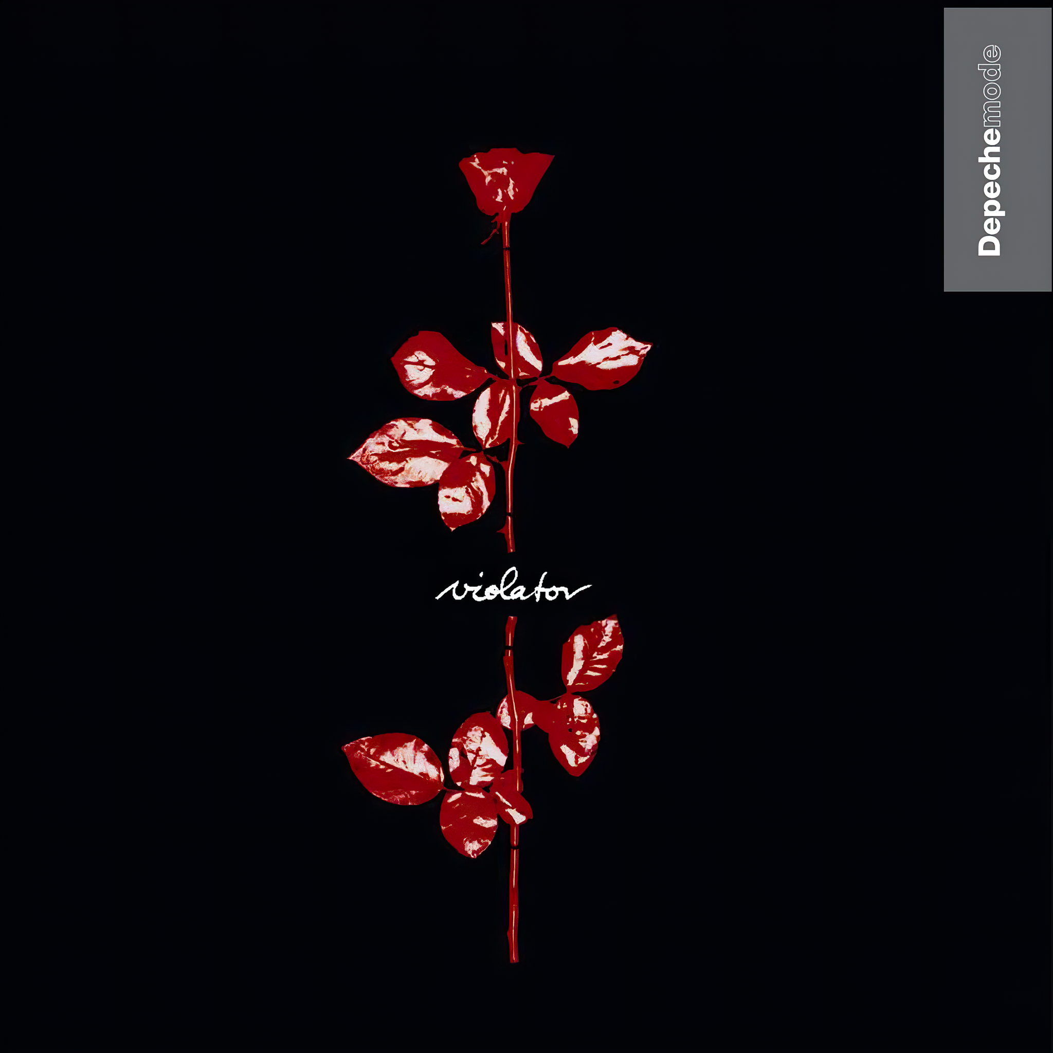 depeche mode, violator, red rose, album cover, vinyl, cover, album art, cover art,