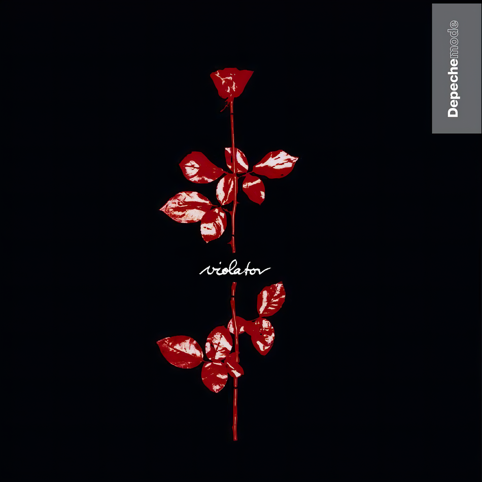 depeche mode, violator, red rose, album cover, vinyl, cover, album art, cover art,