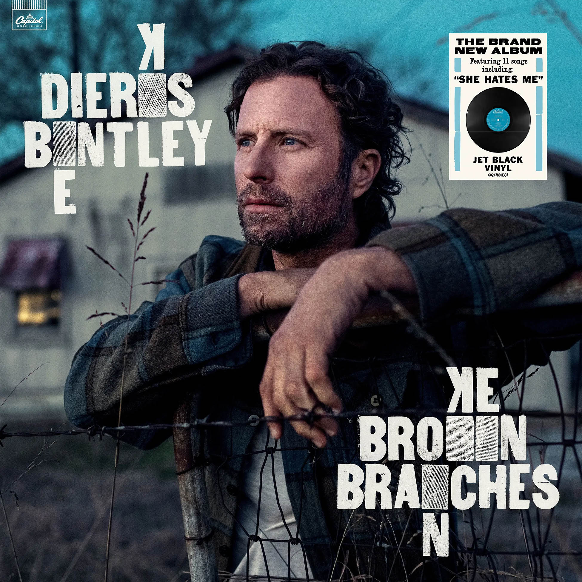 Dierks Bentley - Broken Branches album cover, jet black vinyl LP, 2025 country release