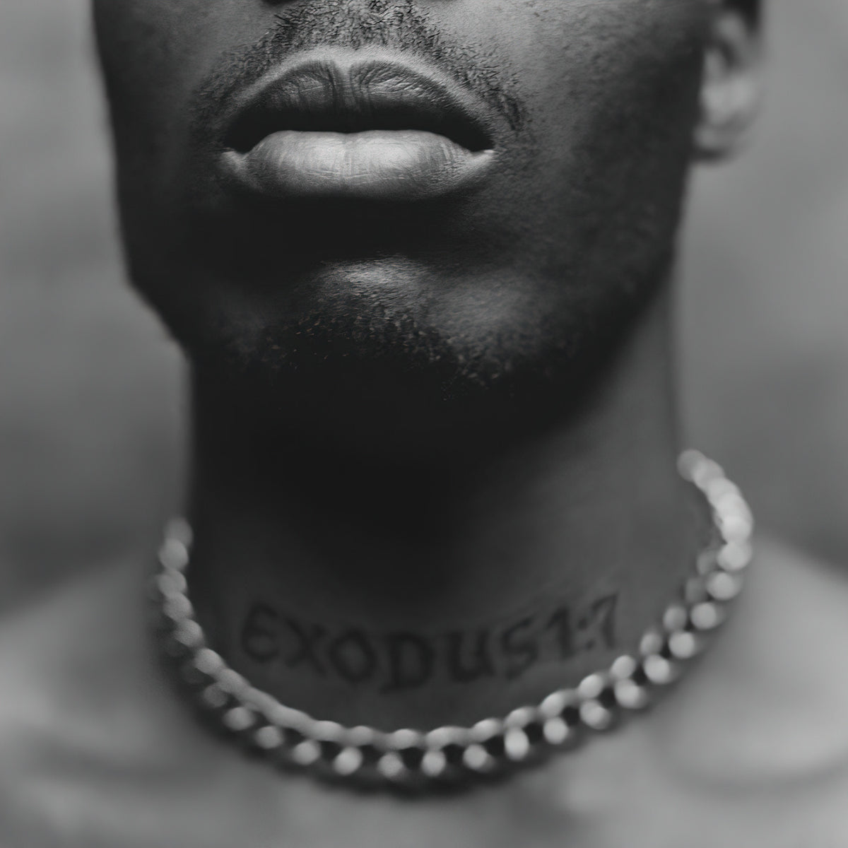 DMX, Exodus, vinyl, cover