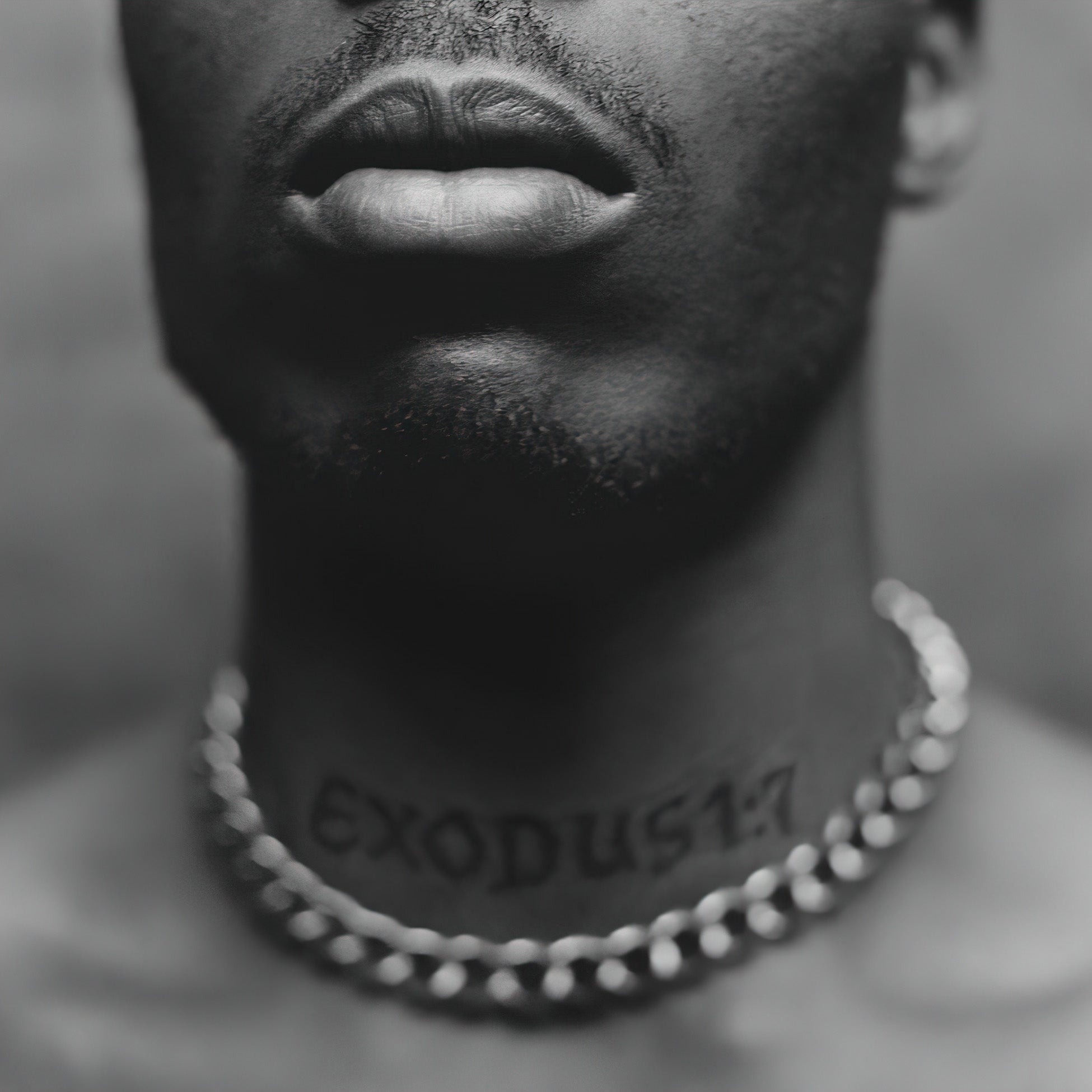 DMX, Exodus, vinyl, cover