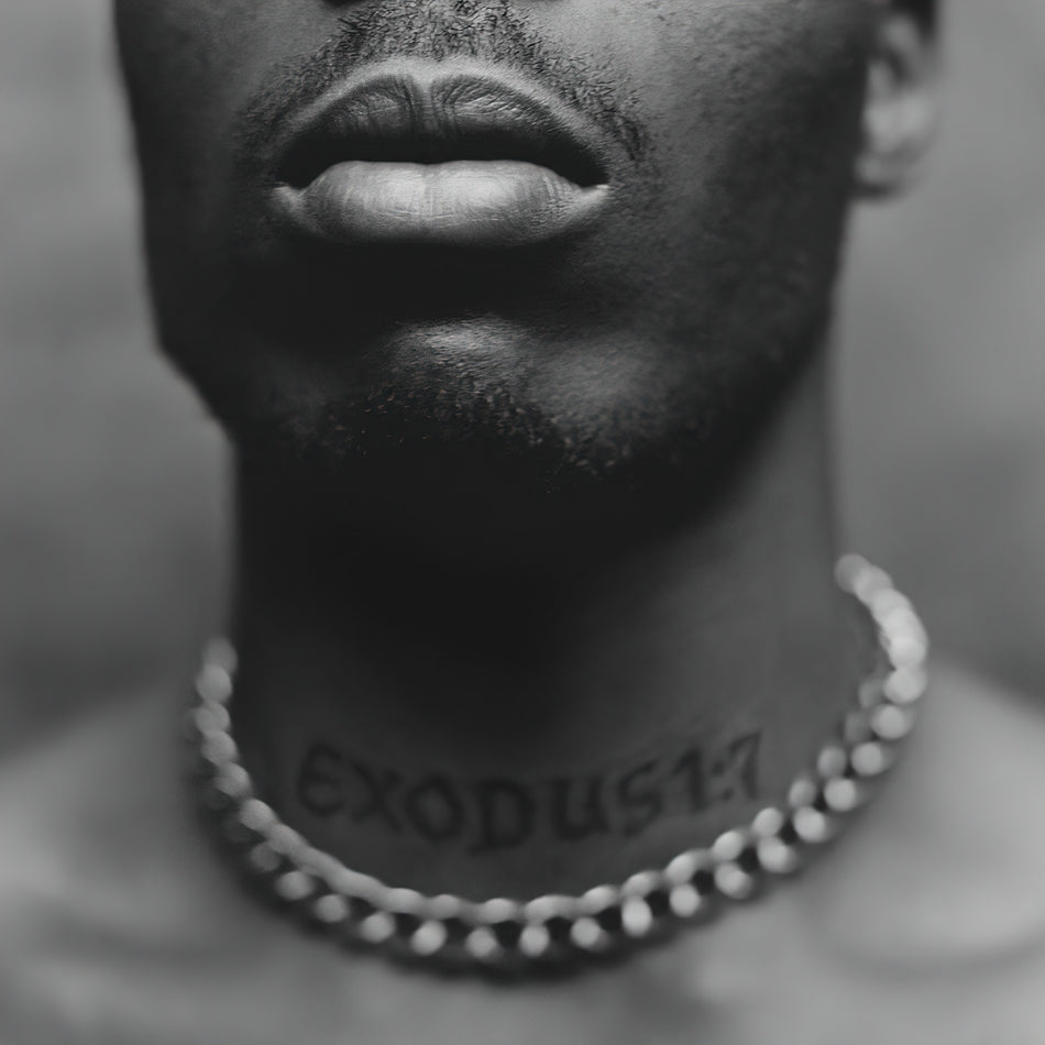 DMX, Exodus, vinyl, cover