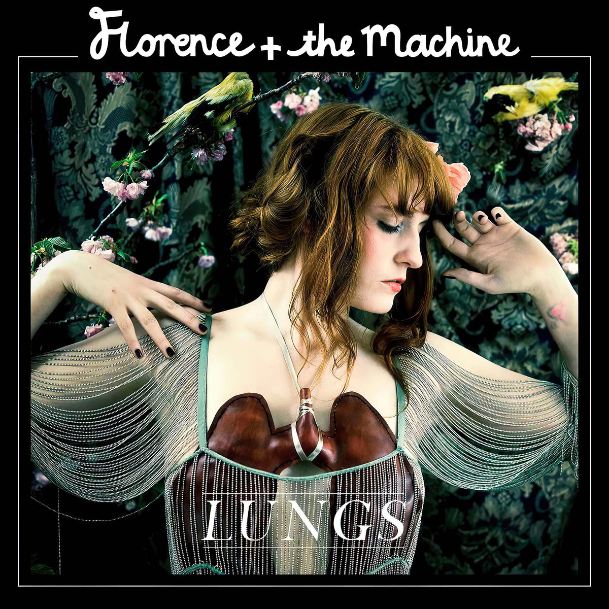 Florence, The Machine, Lungs, vinyl, cover, album cover, 
