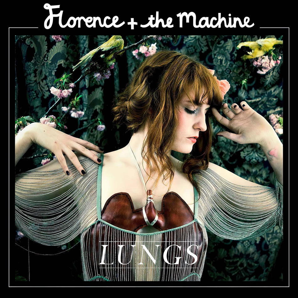 Florence, The Machine, Lungs, vinyl, cover, album cover, 