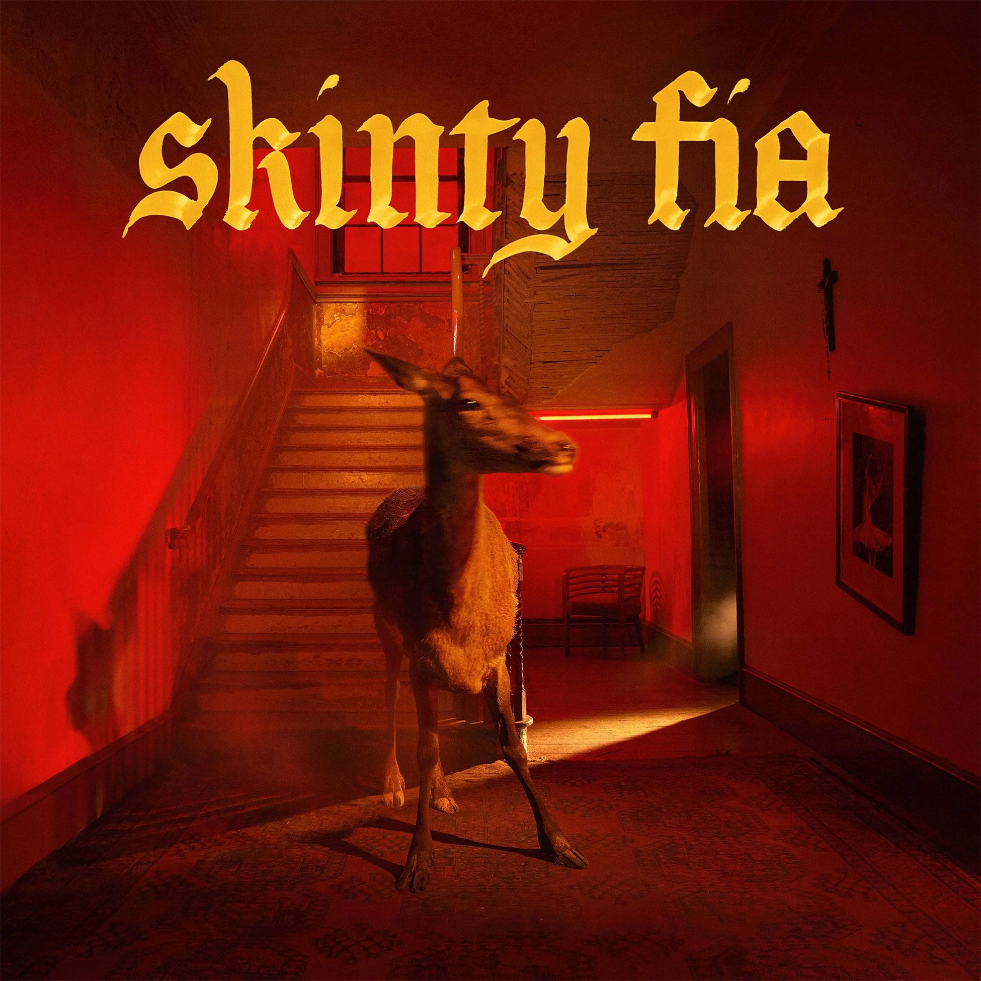 Fontaines D.C. - Skinty Fia album cover, black vinyl LP, Partisan Records edition