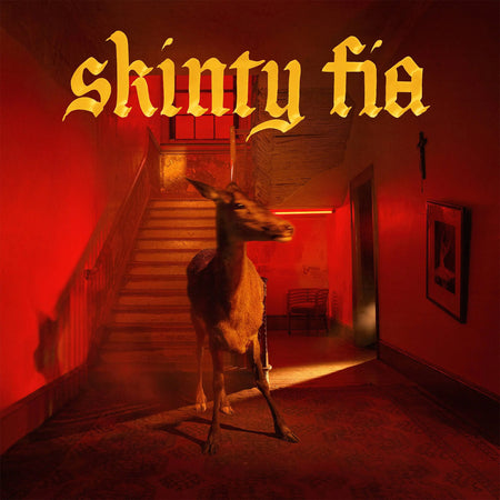 Fontaines D.C. - Skinty Fia album cover, black vinyl LP, Partisan Records edition
