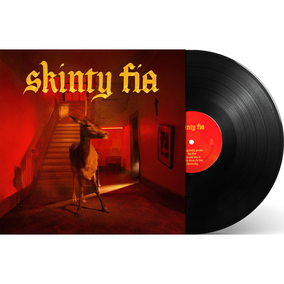 Fontaines D.C. - Skinty Fia packshot, black vinyl LP, modern post-punk