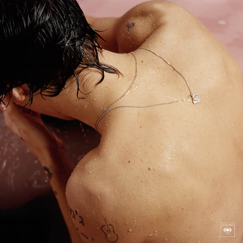 Harry Styles, self titled, first album, 180g Vinyl, cover, album, album art, vinyl
