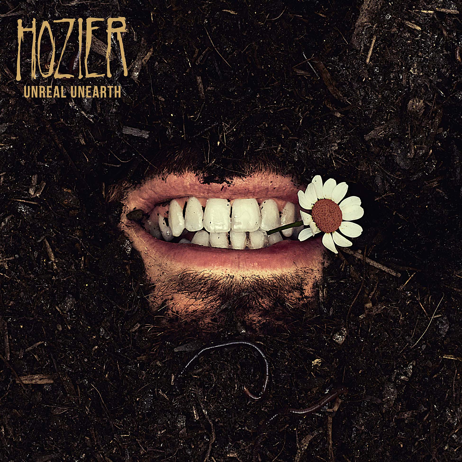 Hozier - Unreal Unearth album cover, 2LP black vinyl, standard jacket - available from ToucanRecords.com
