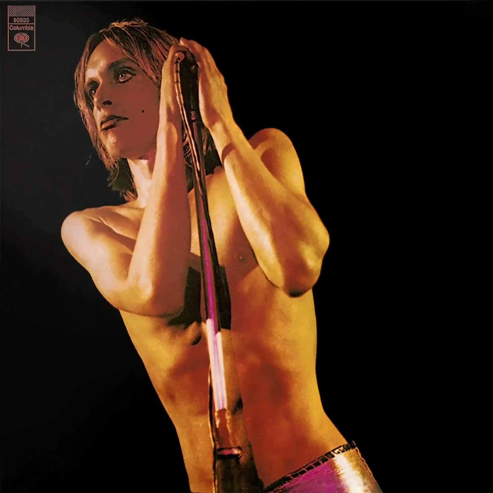 Iggy and The Stooges - Raw Power album cover, RSD Essential gold vinyl 2LP with booklet, proto-punk classic