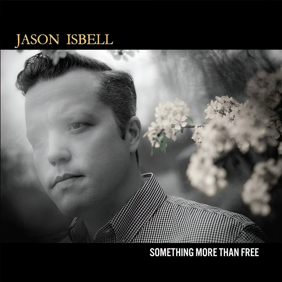 Jason Isbell - Something More Than Free album cover, denim blue vinyl edition, gatefold jacket