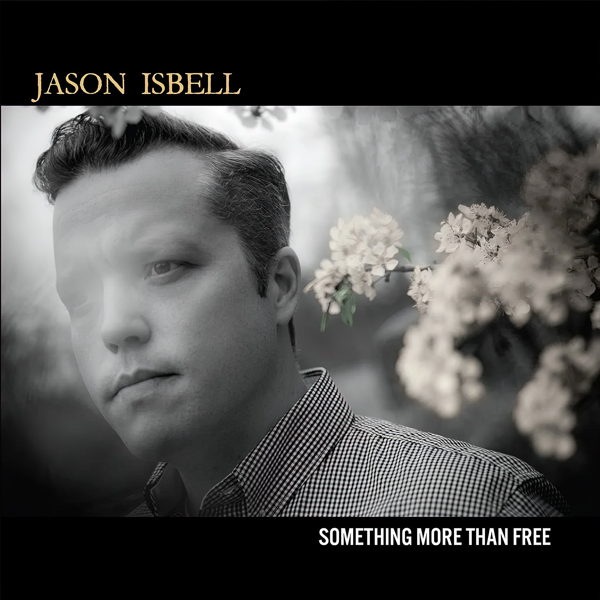 Jason Isbell - Something More Than Free album cover, denim blue vinyl edition, gatefold jacket