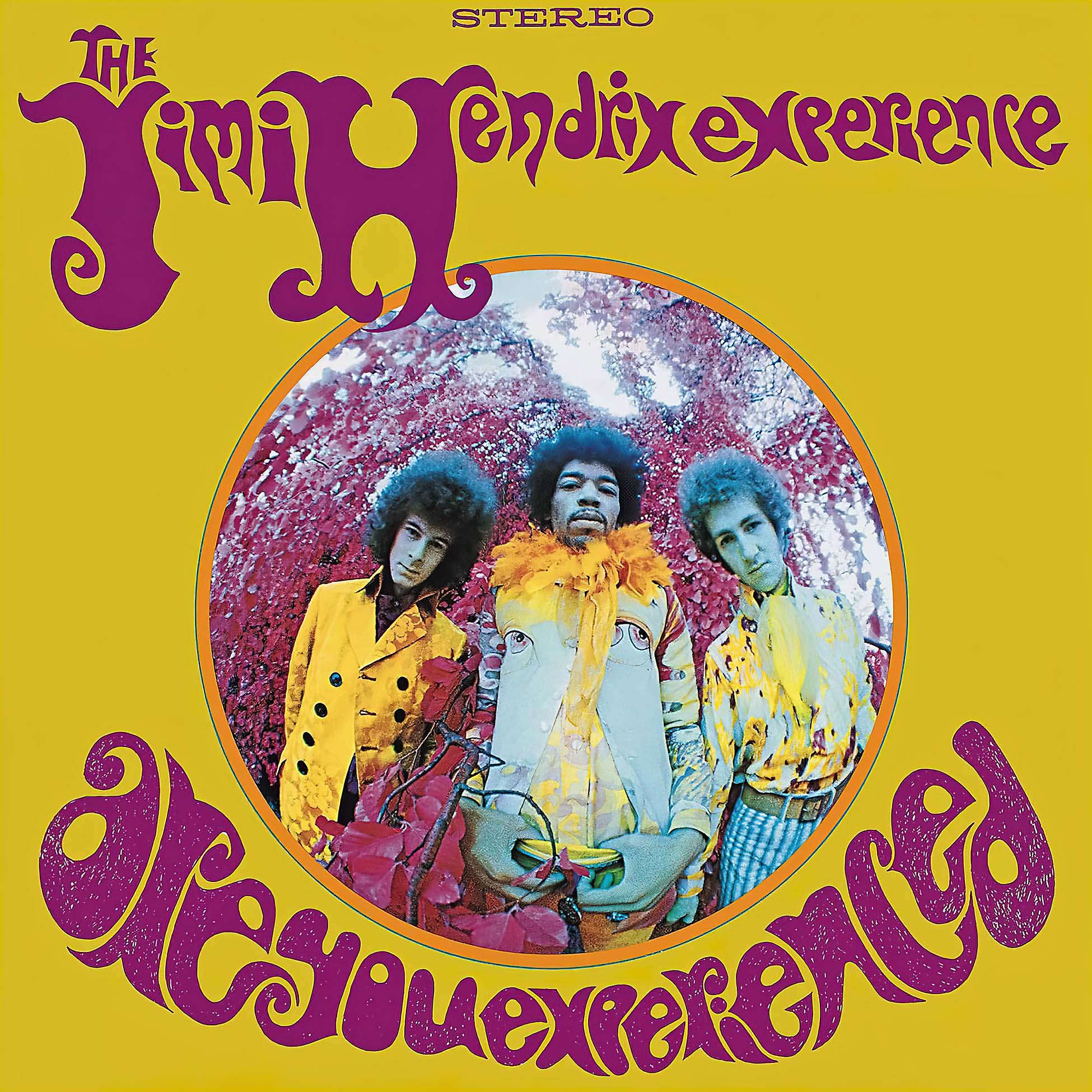Jimi Hendrix, Experience, Jimmi Hendrix, Are You Experienced, Jimmy Hendrix, Hendrix, stereo, U.S. Edition, album cover, Cover Art, vinyl cover, Foxy Lady, Wind Cries Mary, Purple Haze, Hey Joe,