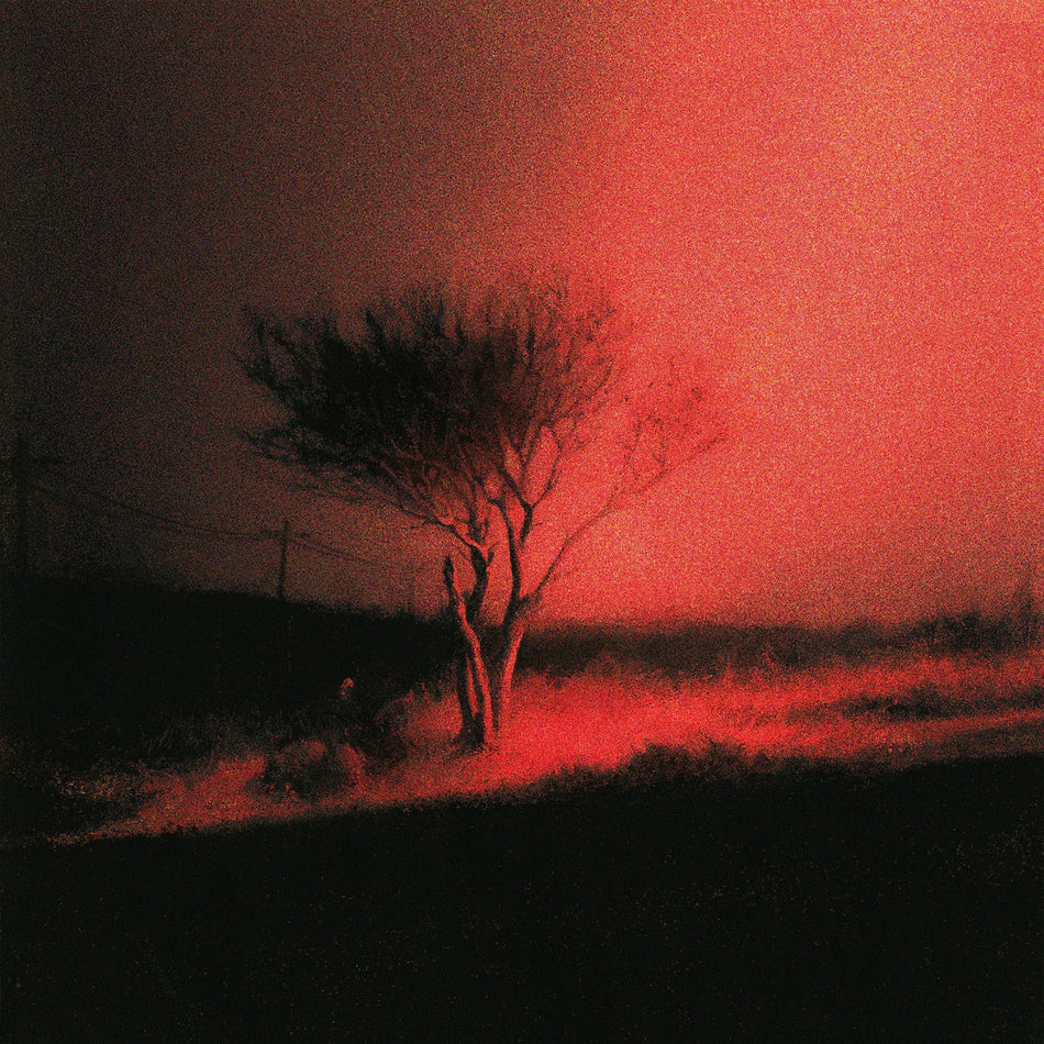 Joji - Piss In The Wind album cover art, standard black vinyl, 21-tracks, fourth studio album