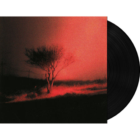 Joji - Piss In The Wind album packshot, standard black vinyl, 21-tracks, fourth studio album