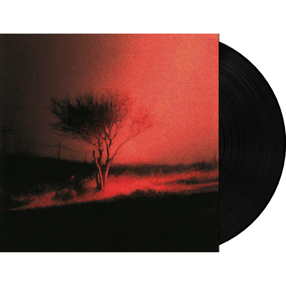 Joji - Piss In The Wind album packshot, standard black vinyl, 21-tracks, fourth studio album