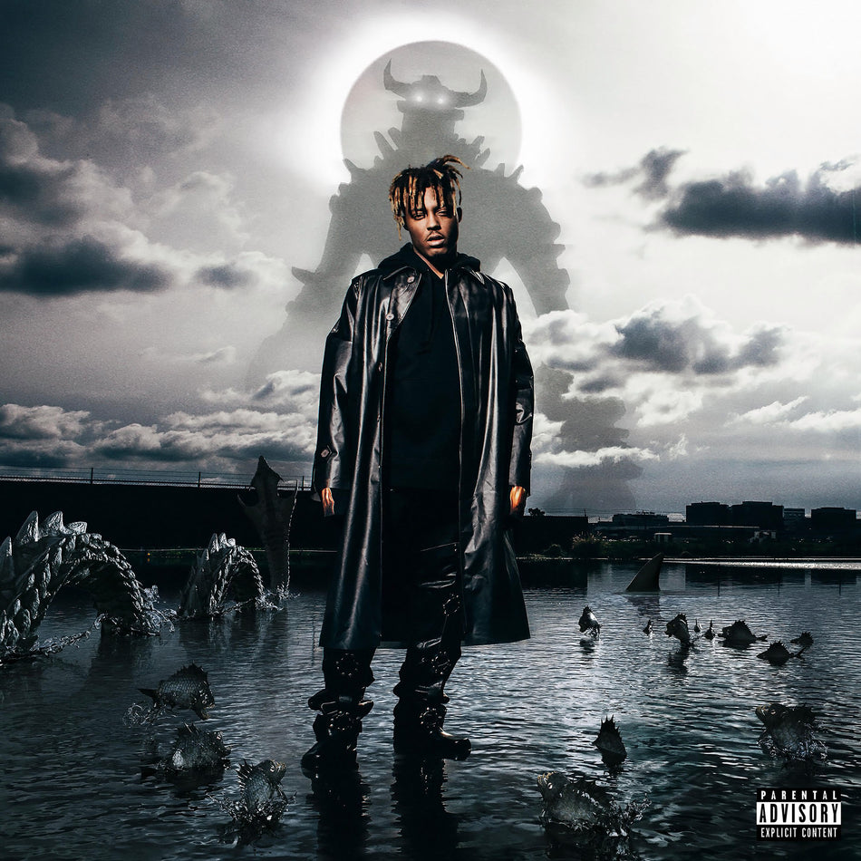 Juice WRLD - Fighting Demons album cover, 2 LP black vinyl, gatefold jacket – featured at ToucanRecords.com