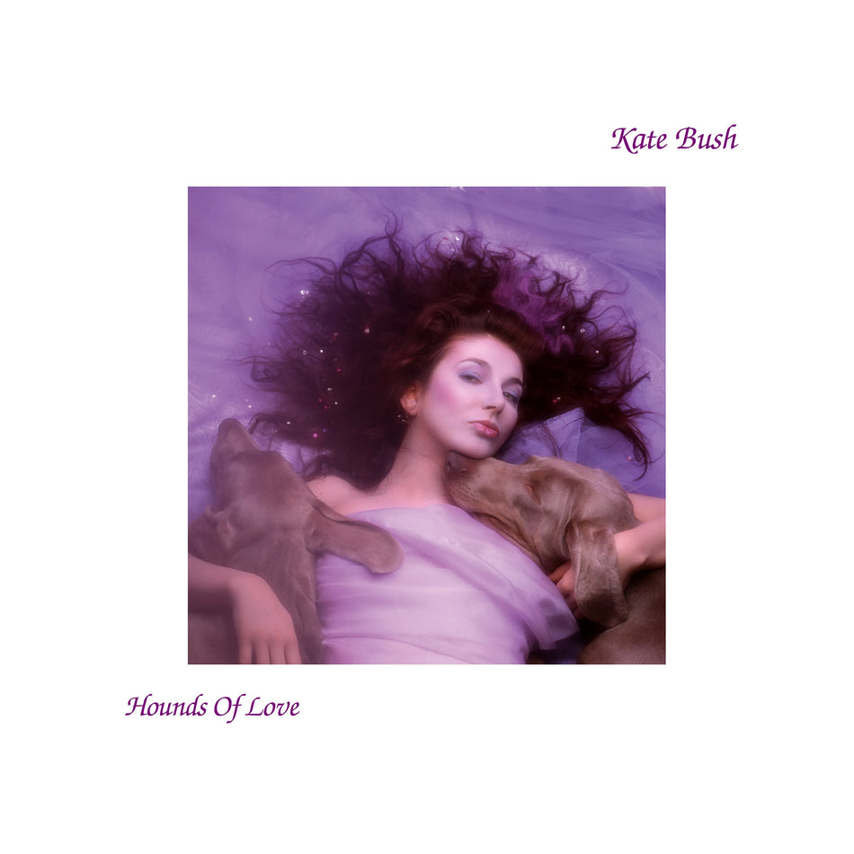 Kate Bush's Hounds of Love on 180g UK import vinyl featuring "Running Up That Hill" and "Cloudbusting". Essential 1985 art pop masterpiece.