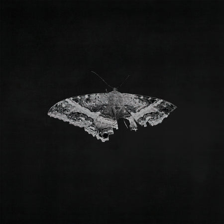 Kendrick Lamar - To Pimp A Butterfly album cover, 10th Anniversary metallic blend 2LP edition, gatefold packaging - premium hip-hop vinyl at ToucanRecords.com