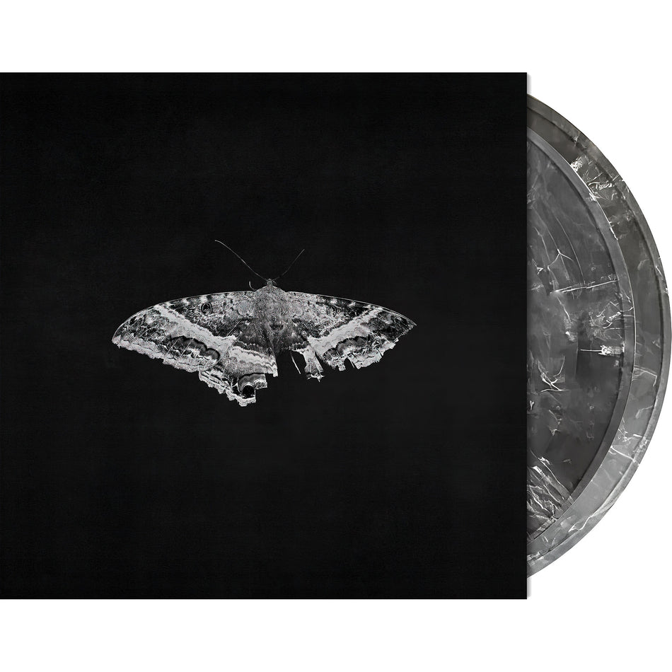 Packshot: To Pimp A Butterfly vinyl packshot, 2 LP 10th Anniversary Indie Exclusive, conscious rap essential from 2015, gray with white smoke metallic blend limited edition vinyl