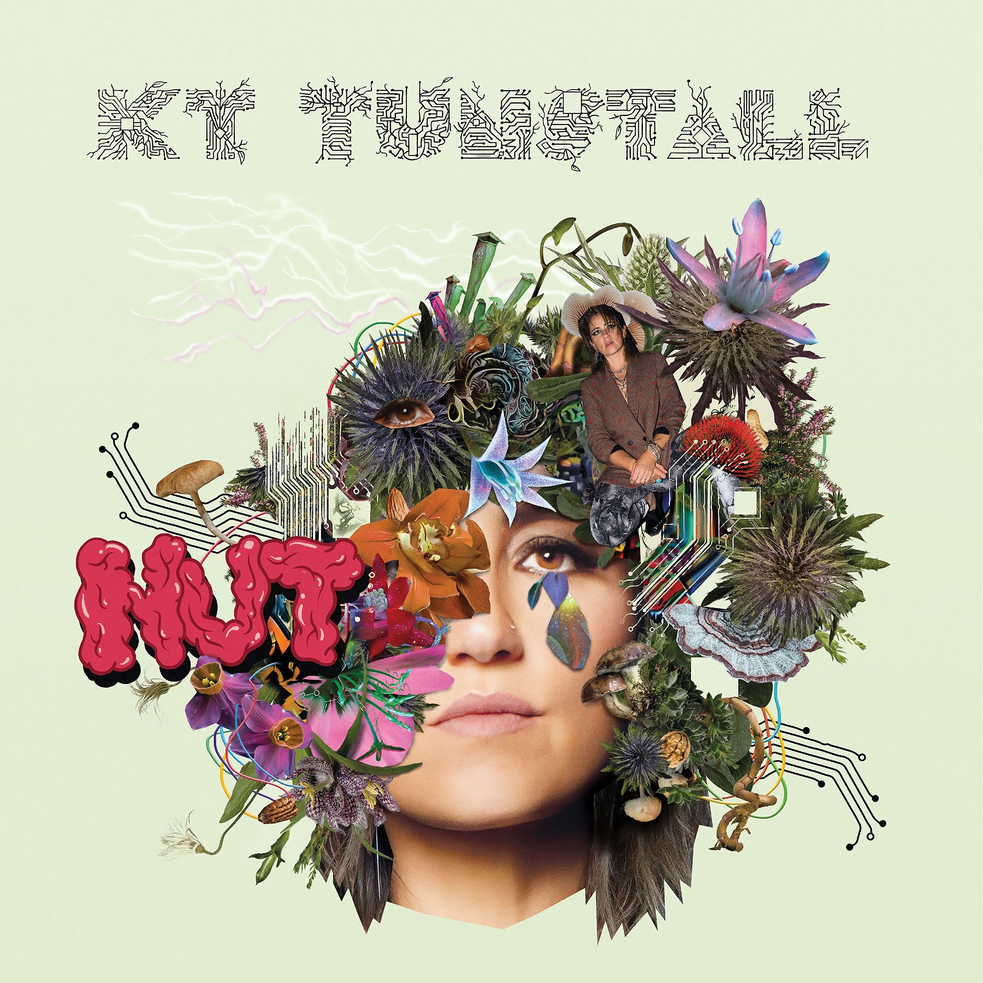 KT Tunstall Nut album cover, Clear Violet Swirl vinyl limited edition, brain garden artwork by Josh McCartney